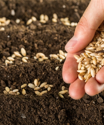 Corso H.A.C.C.P. Responsabile Industria Alimentare