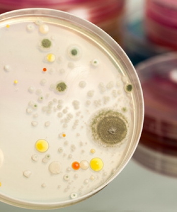 Valutazione Specifica del Rischio Biologico